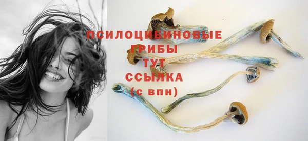 прущая мука Богородицк