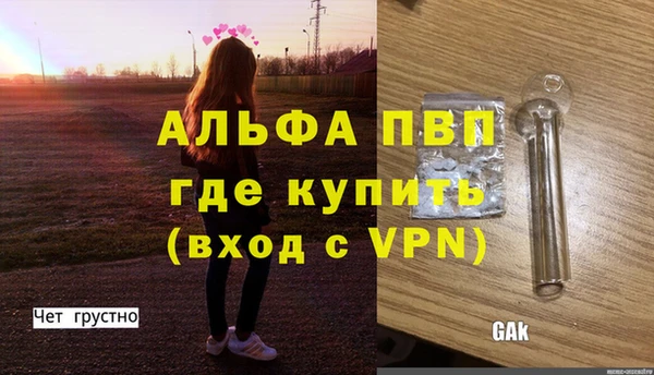 стаф Ростов
