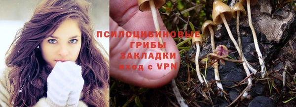 трава Богданович