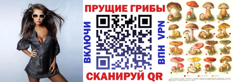 Галлюциногенные грибы Psilocybine cubensis даркнет сайт Ковдор